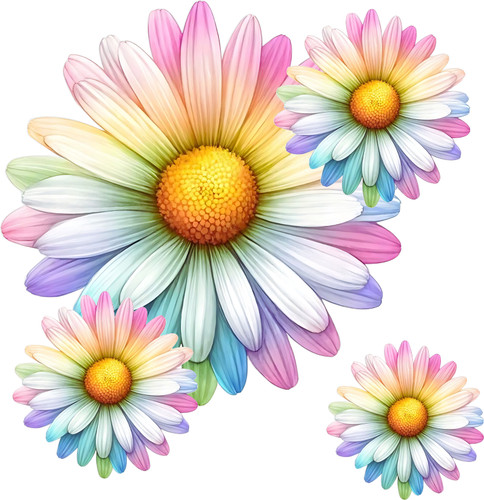 Colourful daisy flower - x9,