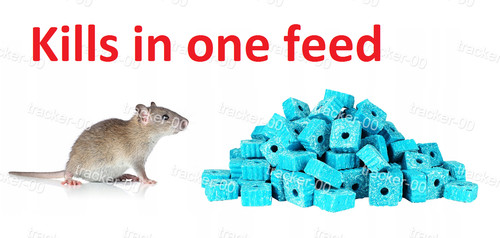 Rat poison feed - poison,