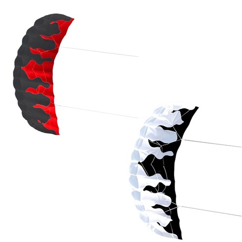 Parafoil kite two line - parafoil,