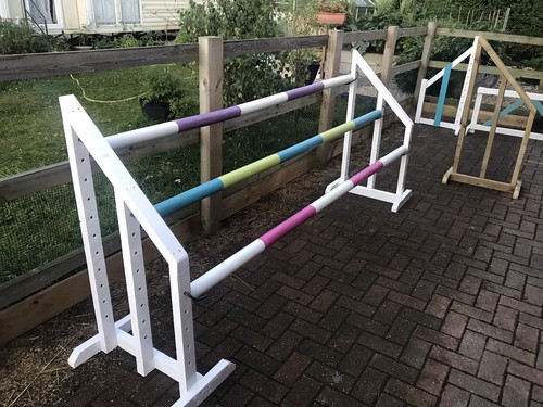 Colourful show jumps hunter - jumps,
