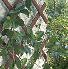 1x BROWN PLASTIC 6ft x 40cm Expanding Garden Trellis Plant Climbing Fence 1.8m