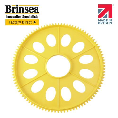 Small egg disk - disk, brinsea