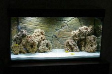 Fish Tank Rock Aquarium Stone