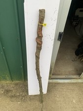 Seasoned Birch TWISTY Twistie