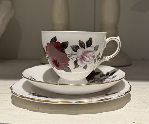 Vintage bone china - vintage,