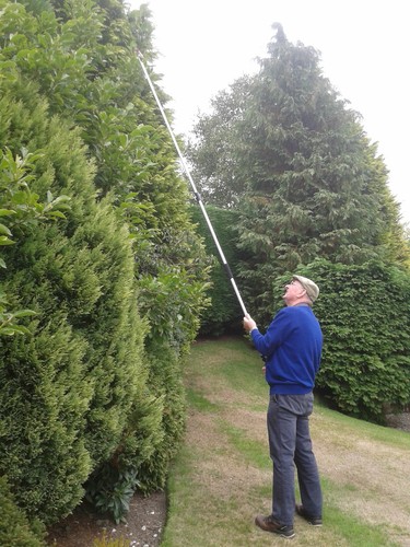 Pruner pole saw barnel 3m - pruner,