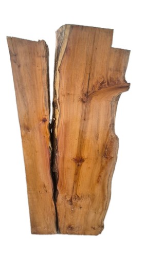 English yew live - live, slab