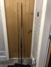 Grauvall colossus catfish cat