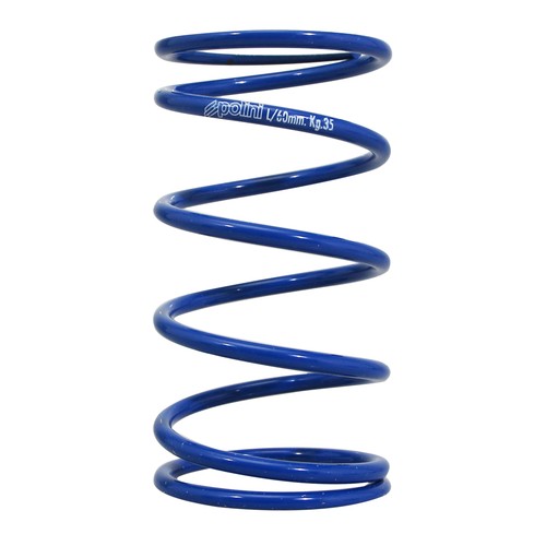 Polini evo variator - polini,