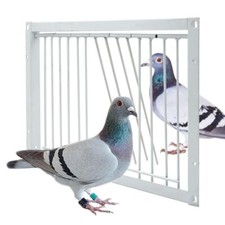 Single Entrance Pigeon Entrance Door Removable Trap Door  Pigeon House
