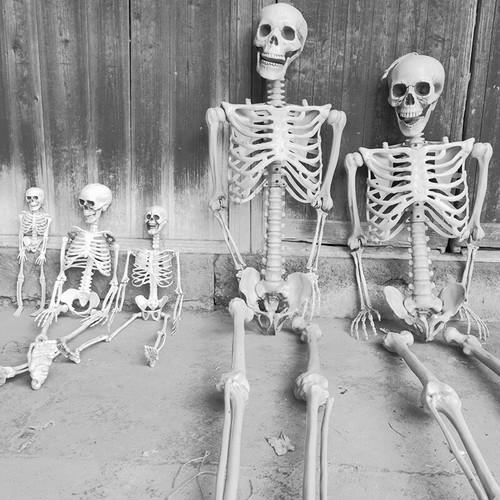 Halloween full body skeleton - halloween,