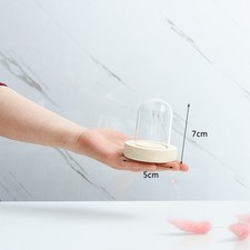 Figurine Action Display Stand