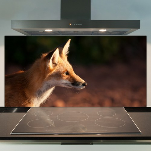 Kitchen splashback tempered - splashback,