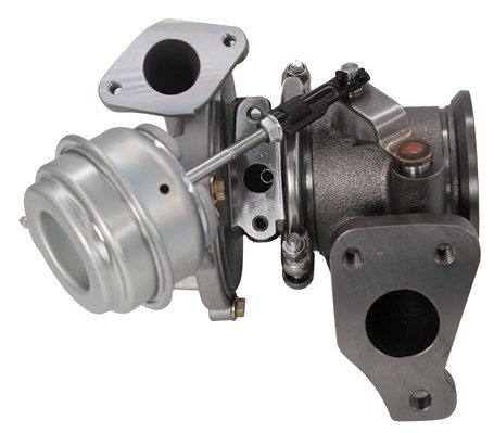 Fits magneti marelli - fits,