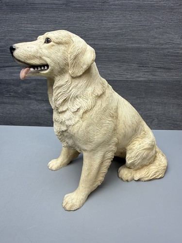 Leonardo golden retriever dog - leonardo,