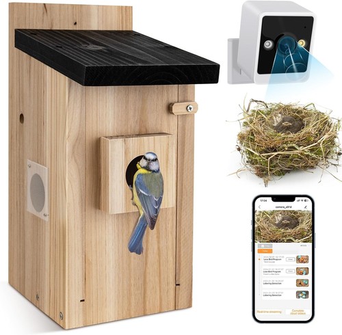 Smart birdhouse 4mp - birdhouse, wire