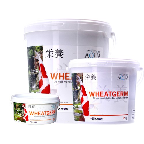 Evolution aqua wheatgerm koi - aqua,