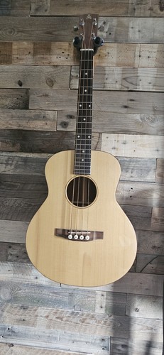 Ashbury eletro acoustic bass - acoustic,