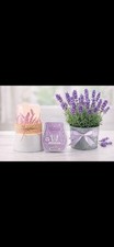 Scentsy Lavender Fields Warmer