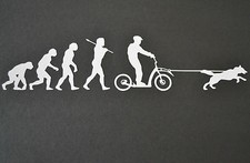 SLED DOG SPIRIT EVOLUTION