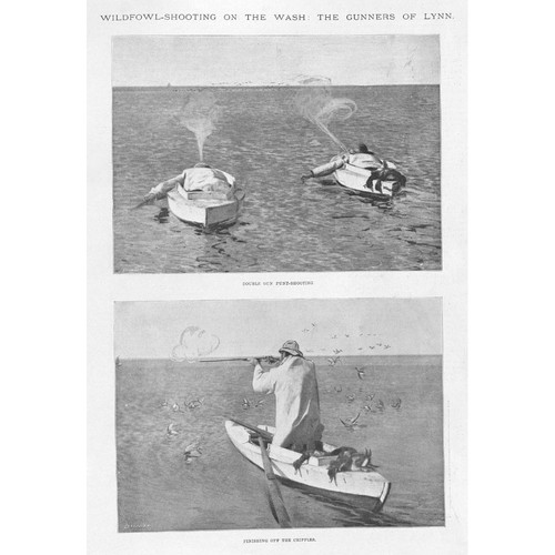 Wildfowl shooting the - the, wash