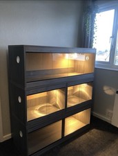 Custom Vivarium Stack - 2 x