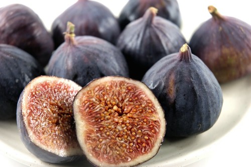 Suttons fig trees brown - suttons, turkey