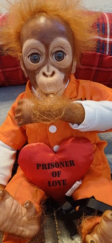 Rare ashton drake prisoner of - ashton,