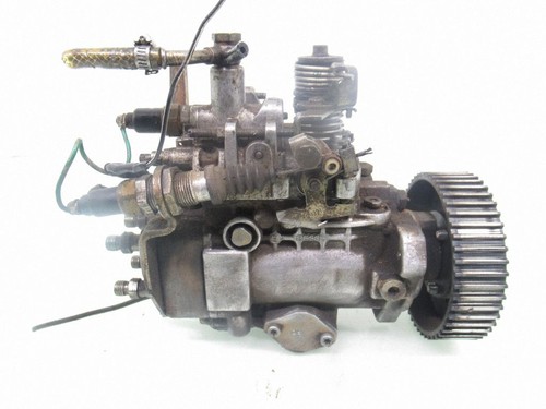 Volkswagen transporter - volkswagen,