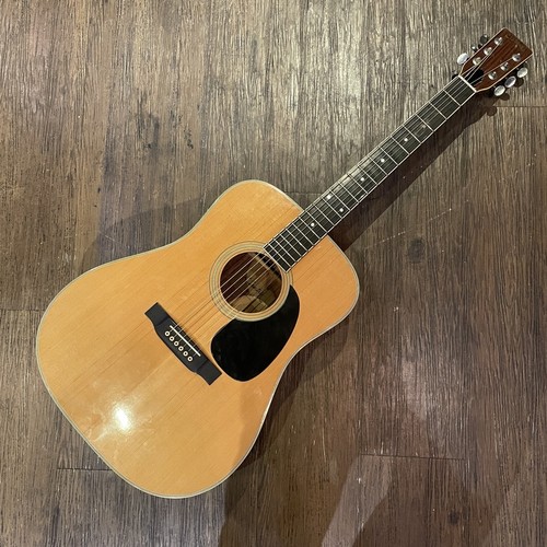 Country 200 acoustic - d-200,