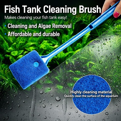 Fish tank cleaning - cleaning, brush