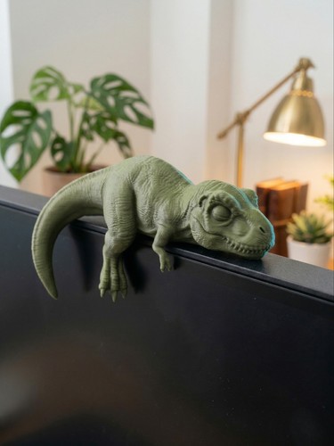 Sleeping rex monitor sitter - monitor,