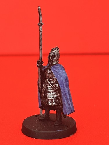 Minas tirith citadel guard - minas,