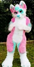 Fursuit Costume Fancy Dress Cosplay please read description