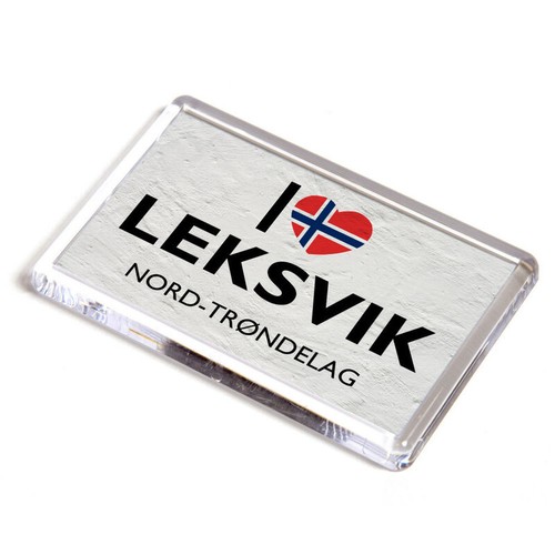 Fridge magnet i - magnet,