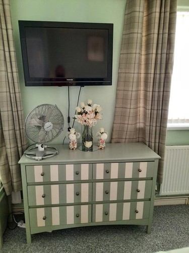 Green augusta solid - solid, pine