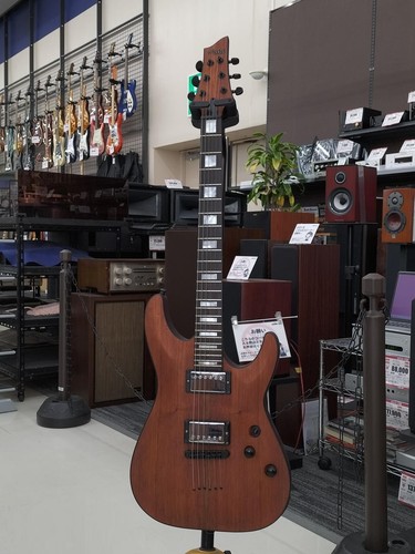Schecter koa used - koa,