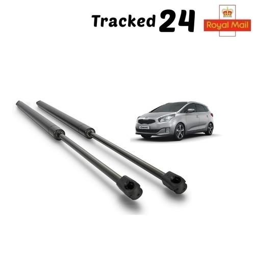 Rear tailgate boot gas - tailgate, struts