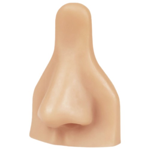 Silicone face model - face,