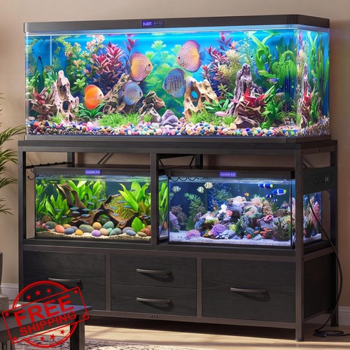 Heybly gallon fish - fish, tank