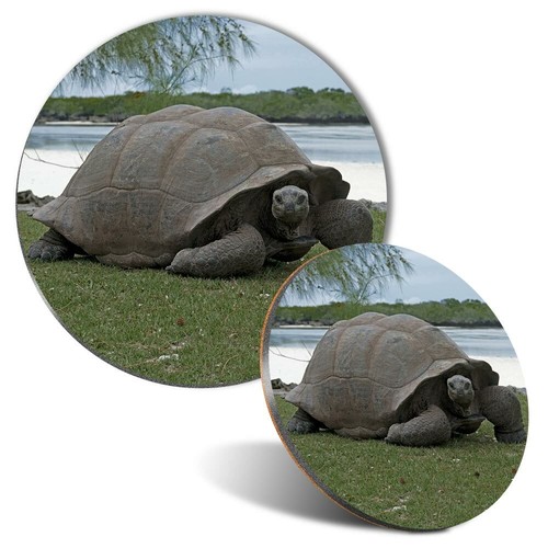 Mouse mat coaster - mouse,