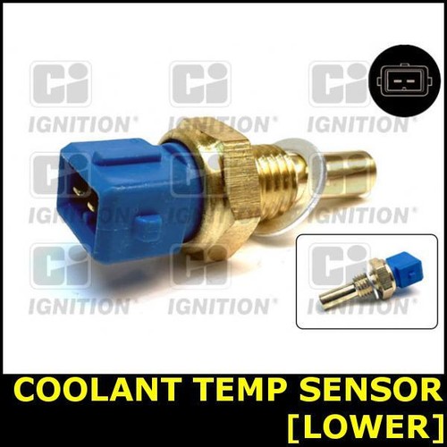 Coolant temperature sensor for - temperature,