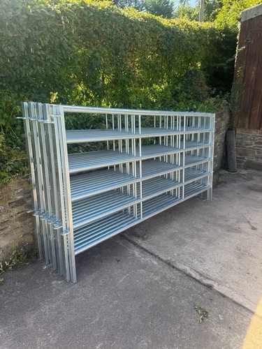 Cattle hurdles - cattle,
