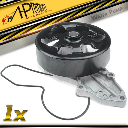 Premium water pump gasket - water, w/