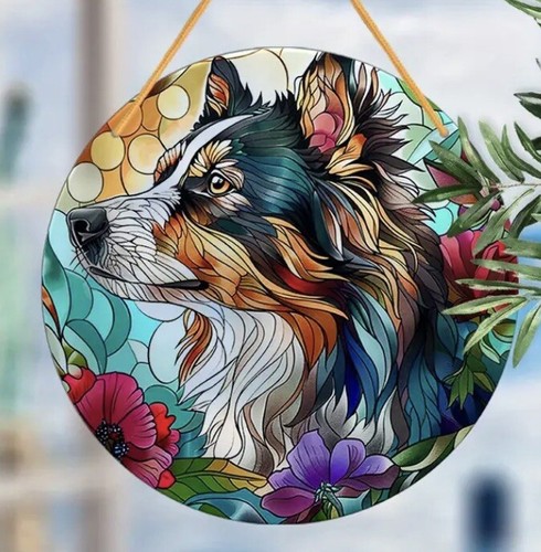 Border collie sheltie - sheltie, sheep