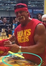 Hulk Hogan Signed Print With