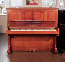 Reconditioned Bechstein Model
