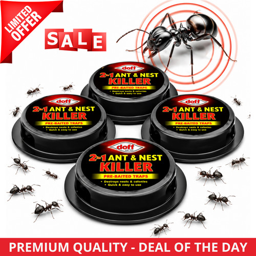Ant killer bait stations - ant,