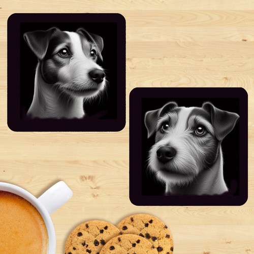 Jack russell terrier - jack,