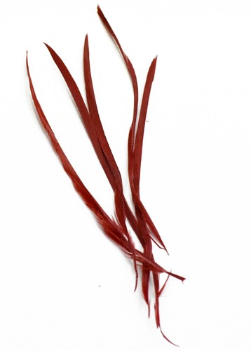 Long fascinator feathers - fascinator,